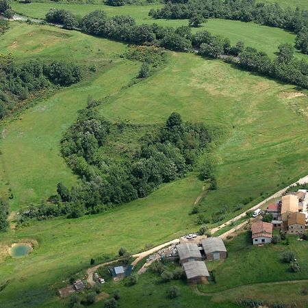 Penzion Agriturismo Campo Antico Orte Exteriér fotografie