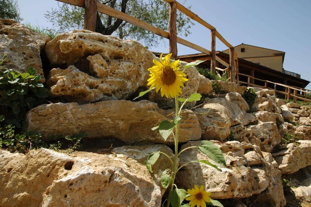 Penzion Agriturismo Campo Antico Orte Exteriér fotografie